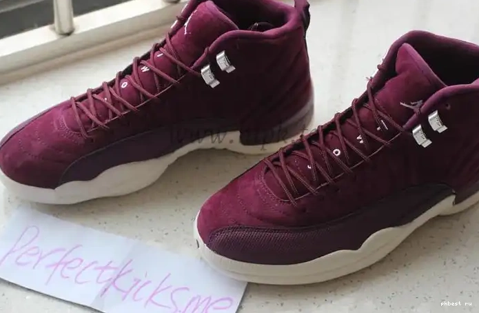 12 Authentic “Bordeaux” Jordan Air 0508